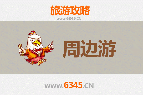 三亚育才镇深度游攻略：雨林探秘与黎苗文化体验